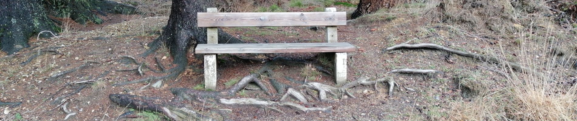 Tour Wandern Jalhay - Bois du sud de Solwaster - Photo