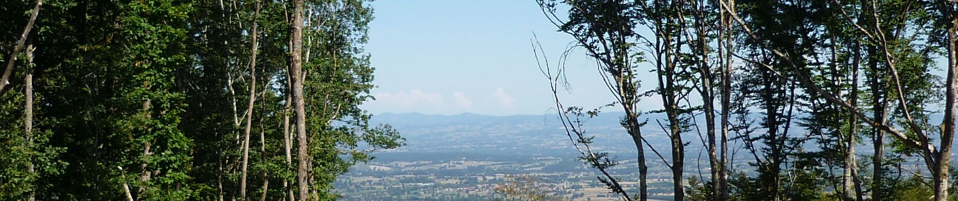 Excursión Bici de montaña Mably - Activité l'après-midi - Photo