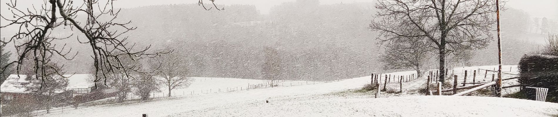 Tocht Stappen Lierneux - Promenade sur les hauteurs enneigées de Lierneux  - Photo