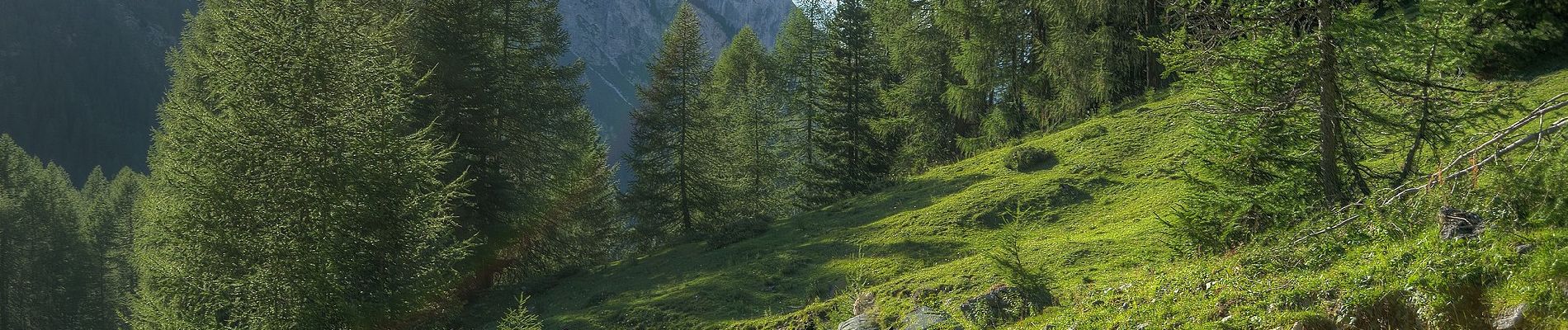 Trail On foot San Giovanni di Fassa - IT-E609 - Photo