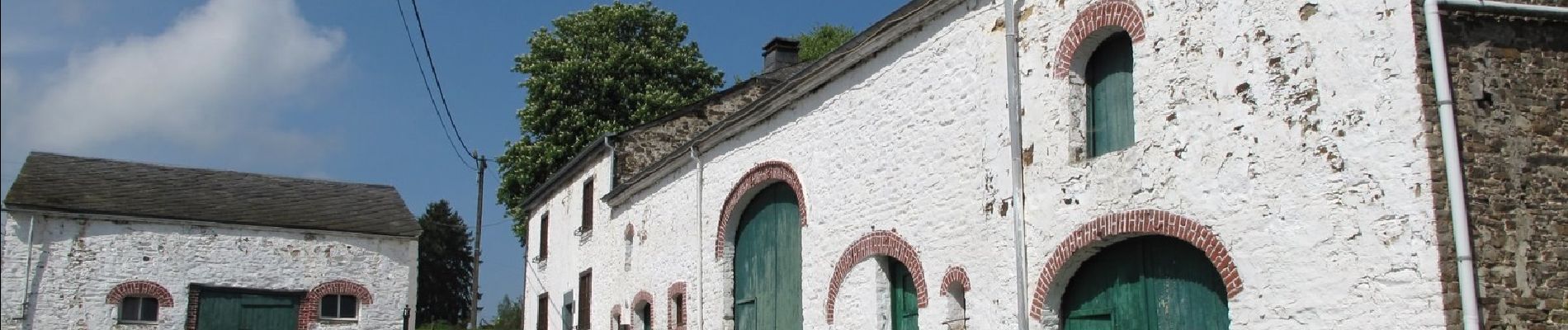 Tocht Te voet La Roche-en-Ardenne - 1. Nagimont - Photo