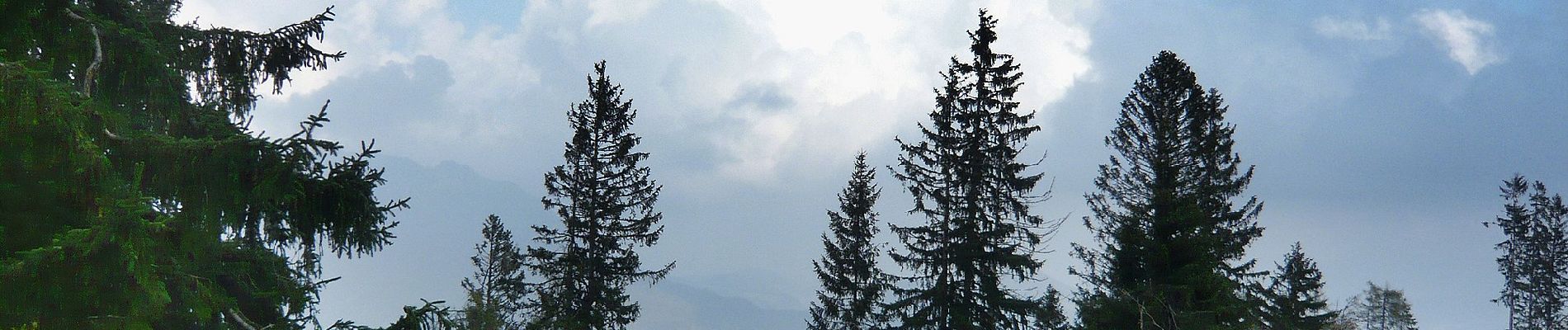 Tour Zu Fuß Ramsau bei Berchtesgaden - Wanderweg 66 - Photo