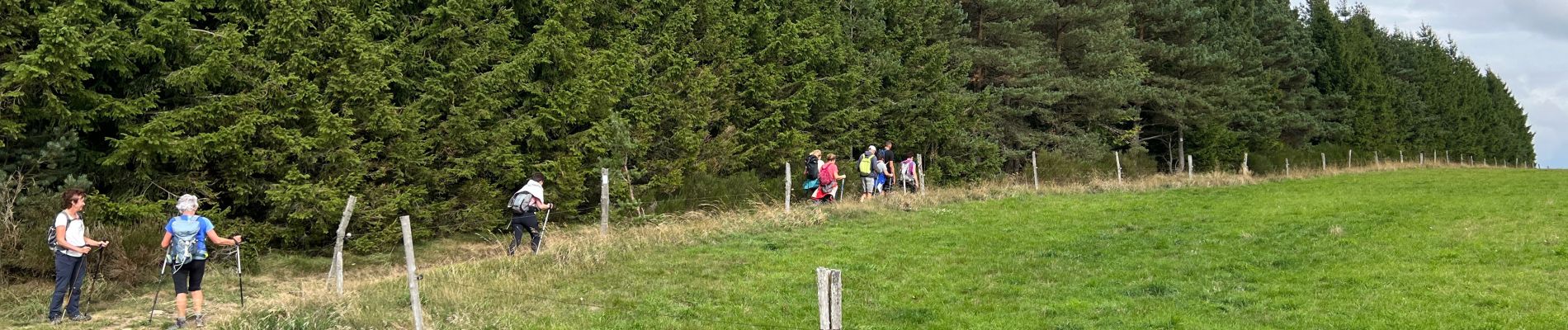 Trail Walking Saint-Clément - Circuit près de Fay sur LIGNON  - Photo