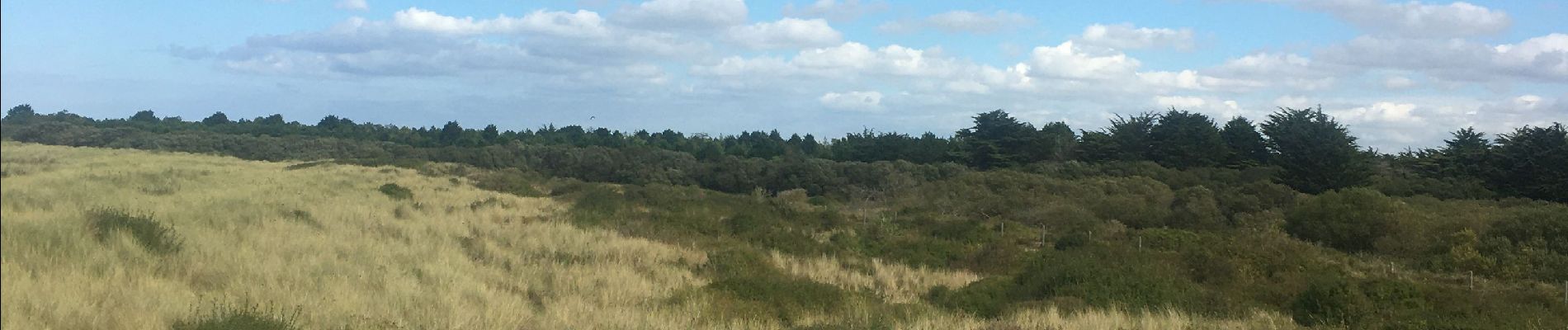 Randonnée Marche Tréflez - Dunes de Kerrema - Photo