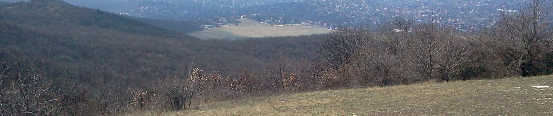 Randonnée A pied Inconnu - K↺ (Felső-Szép-völgy, autóparkoló - Hármashatár-hegy - Felső-Szép-völgy, autóparkoló) - Photo