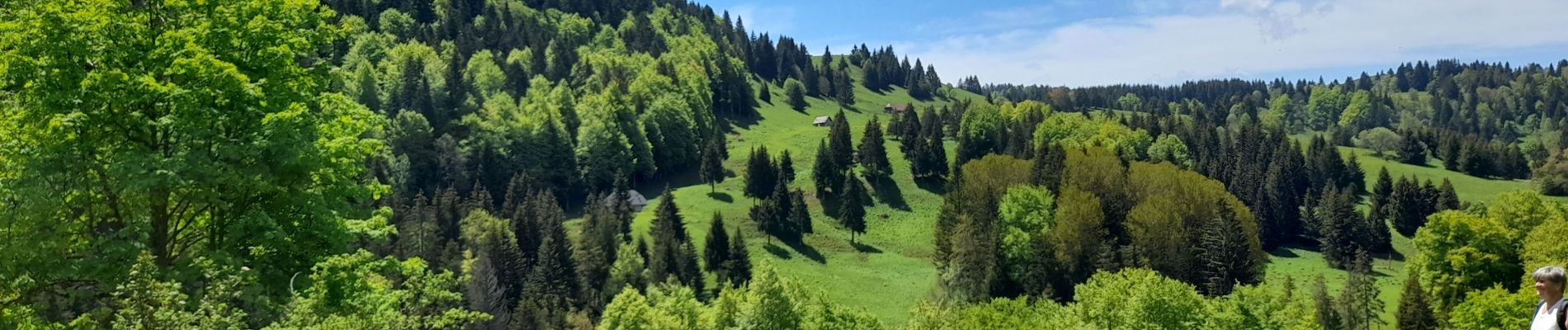 Excursión Senderismo Montcel - MASSIF DES BAUGES: PLATEAU DU REVARD AUTOUR DE LA CROIX DES BERGERS - Photo