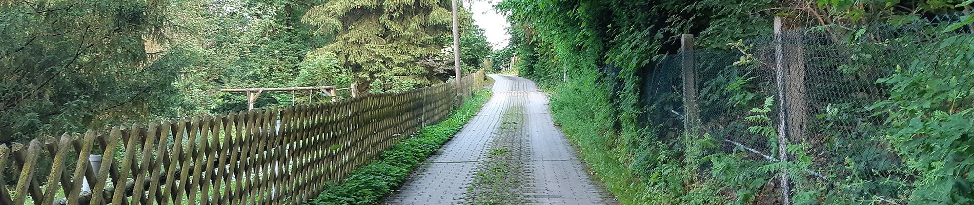 Tour Zu Fuß Unknown - Ww Altchemnitz-Berbisdorf-Eisenweg - Photo