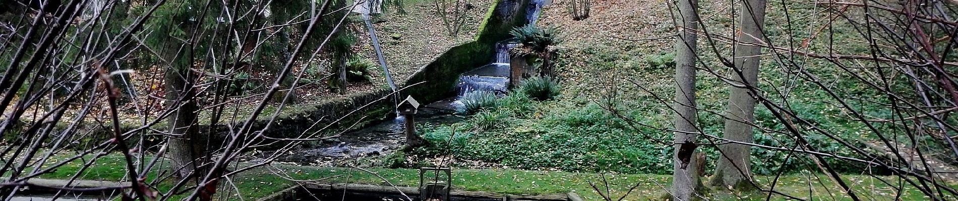 Excursión A pie Bad Urach - Hochbergsteig - Photo