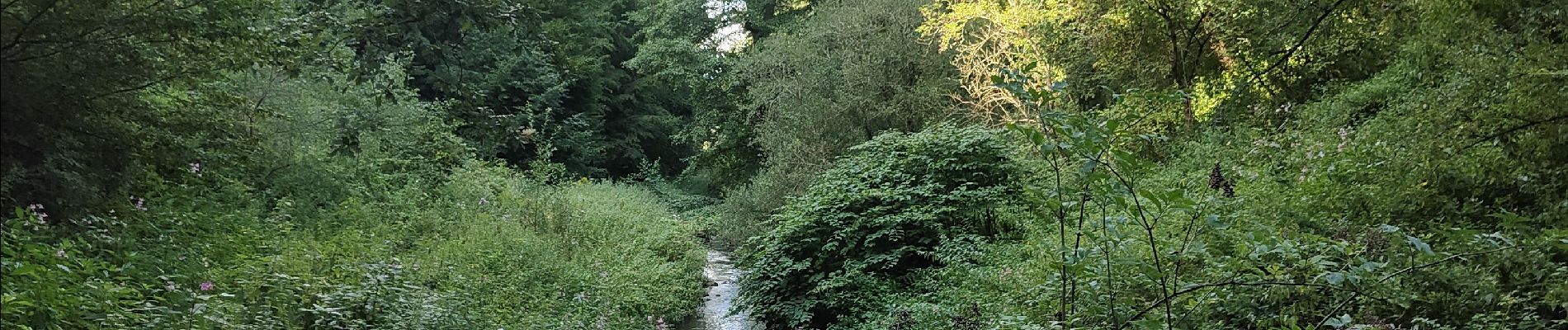 Randonnée Marche Hombourg-Haut - Boucle au dessus de Hombourg - Haut  - Photo