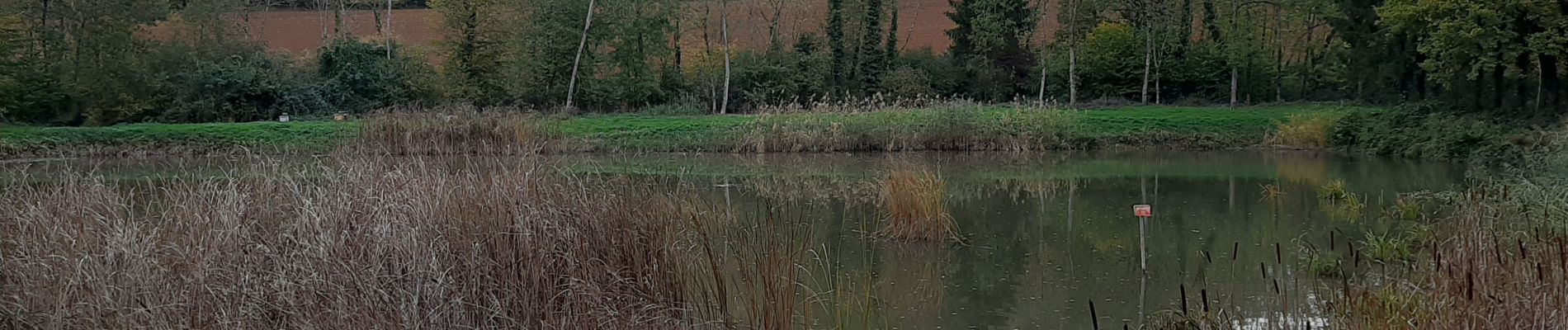 Trail Walking Lay-Saint-Christophe - Lay Saint Christophe  - Photo