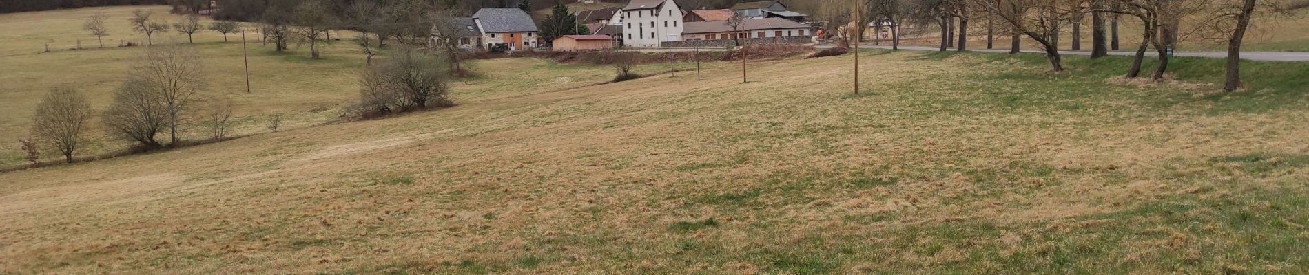 Tour Wandern Geberschweier - Geberschwihr Schauenberg  - Photo