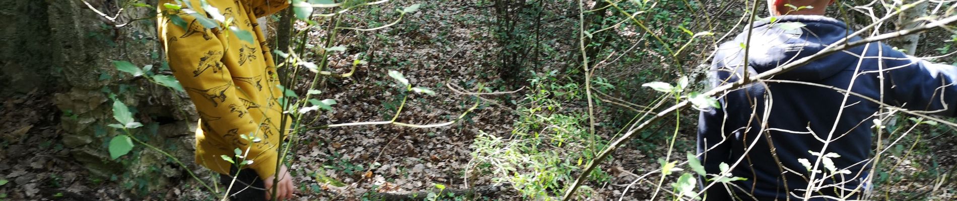 Tour Wandern Barjols - les défends ste madeleine  - Photo