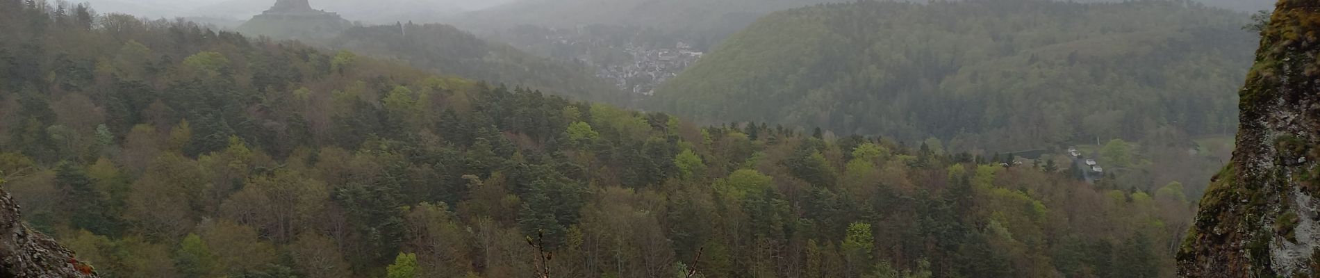 Tocht Stappen Murol - Murol - Lac Chambon 4.5.24 - Photo