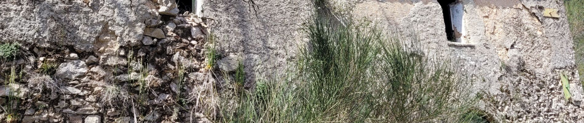 Randonnée Marche Nans-les-Pins - Nans les Pins - Photo