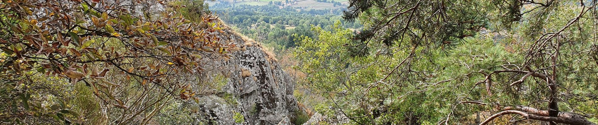 Tocht Stappen Retournac - madeleine  - Photo