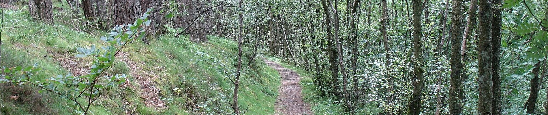 Tocht Te voet Unknown - Edzell to Rocks of Solitude - Photo