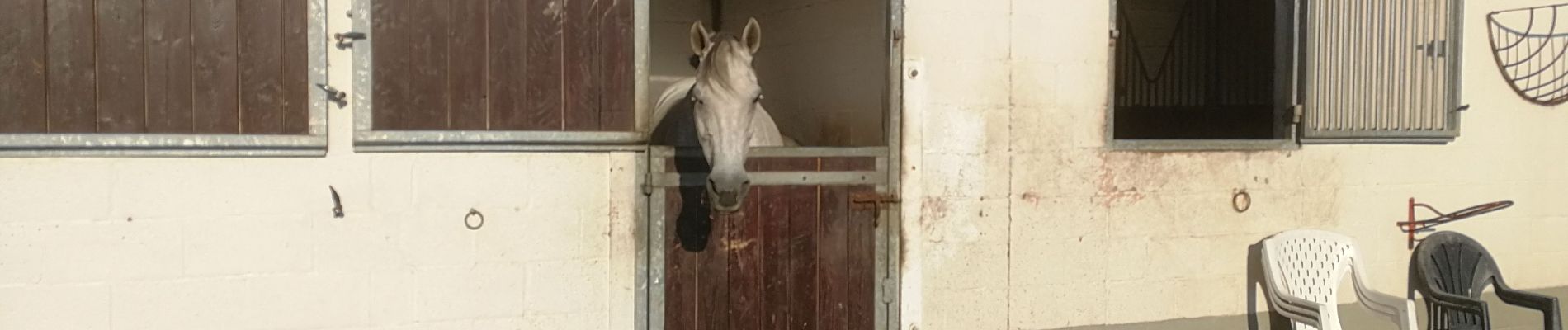 Punto de interés Ittre - Ecurie du Sart - Photo