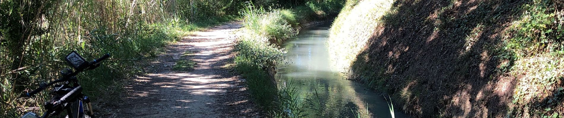 Tour Mountainbike Sarrians - Circuit de Sarrians bis - Photo