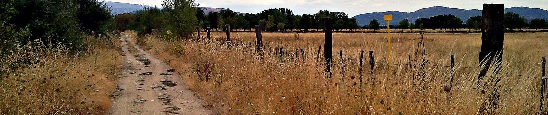 Randonnée A pied Collado Villalba - CV 2 - Camino de las Ventas de El Escorial - Photo