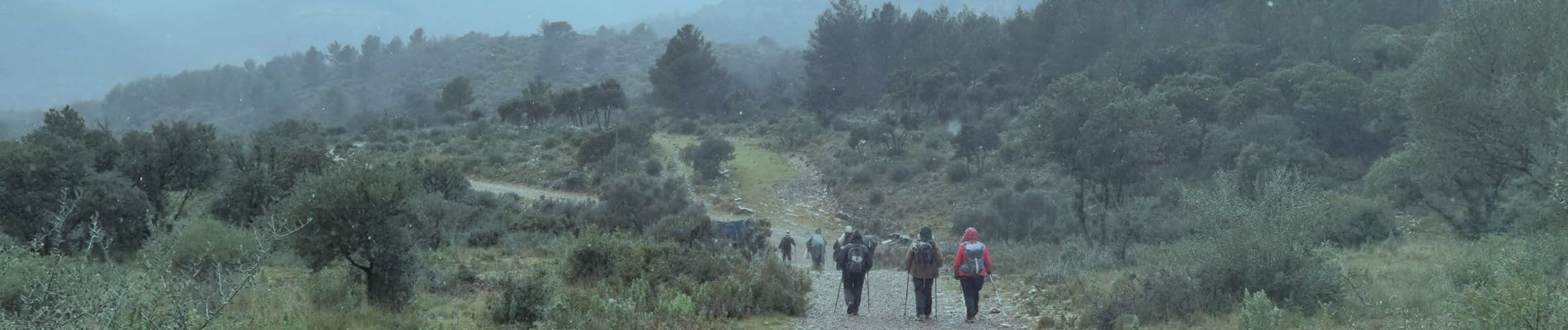 Randonnée Marche Cuers - barres de Cuers - Photo