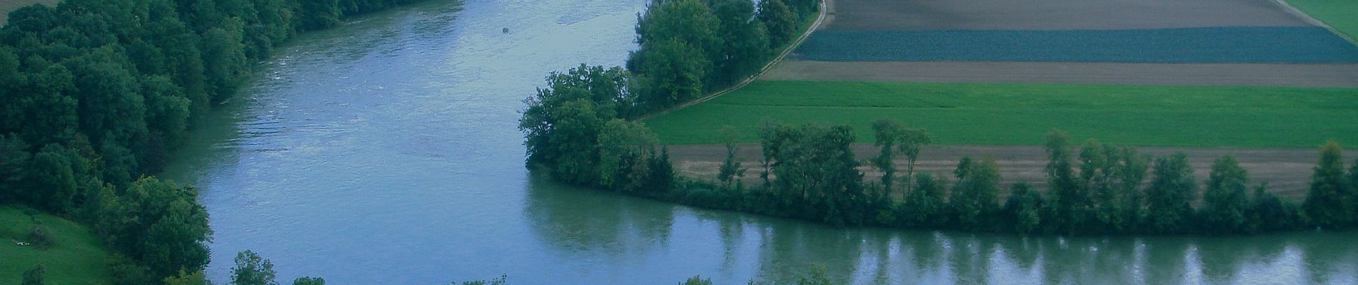 Randonnée A pied Wolfwil - Wolfwil - Oberbuchsiten - Photo