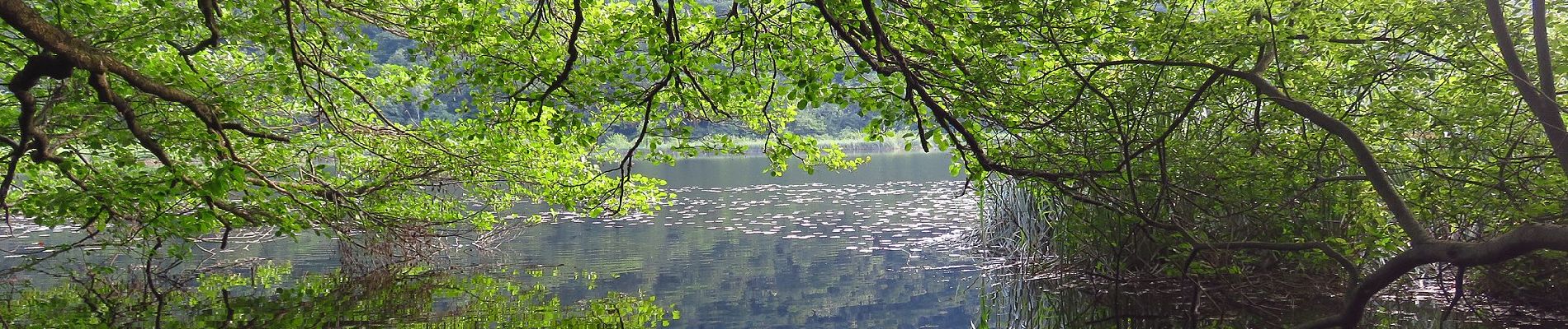 Randonnée A pied Luvinate - Sentiero Nildo dal Zotto - Photo