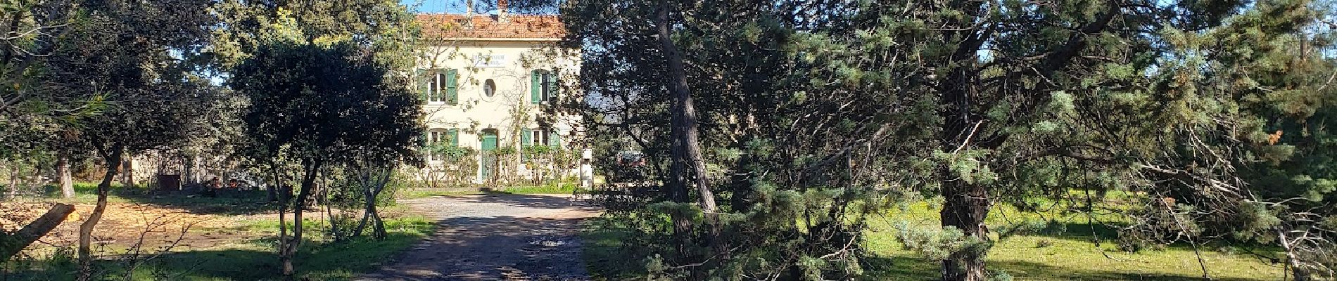 Percorso Marcia Roquebrune-sur-Argens - Palayson et la maison forestière - Photo