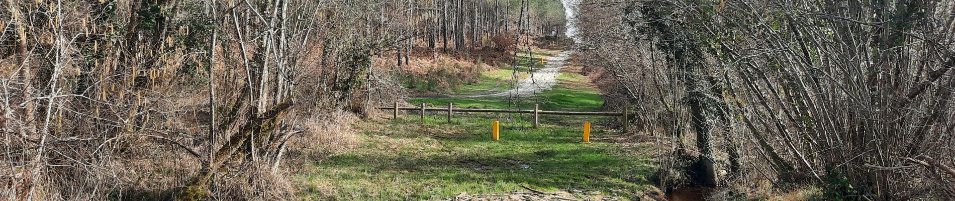 Tocht Stappen Martillac - martillac la forêt de Migelane - Photo