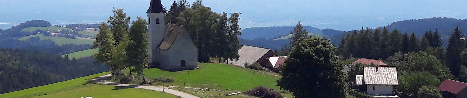 Randonnée A pied Slovenska Bistrica - Gozdna učna pot Bojtina (učna pot) - Photo