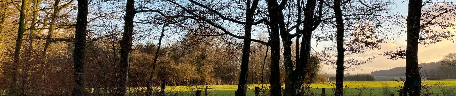 Tocht Noords wandelen Aarlen - Première balade nordique Freylange 2022 - Photo