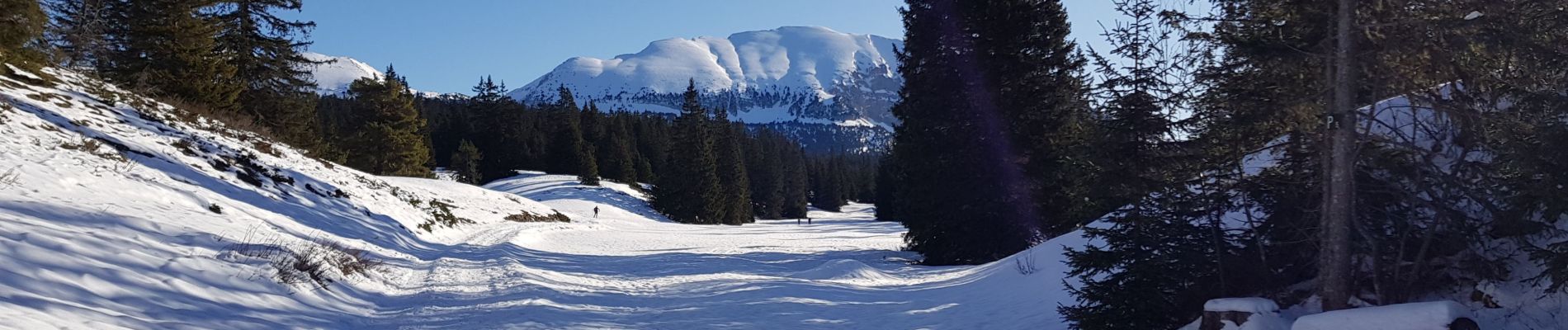 Percorso Racchette da neve Saint-Agnan-en-Vercors - la coche - Photo