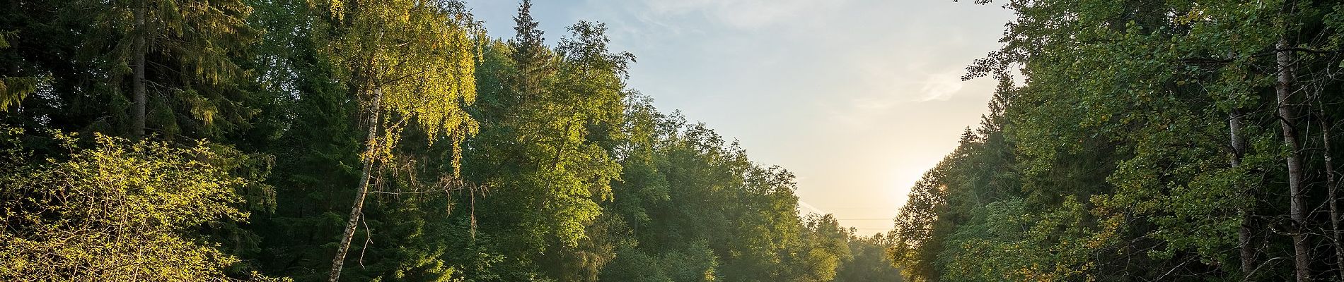 Tour Zu Fuß Helsinki - Haltiavuoren luontopolku - Photo