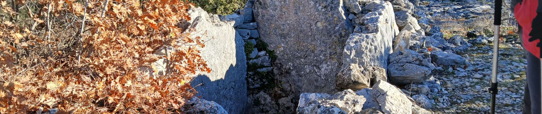 Excursión Senderismo Cabris - Dolmen, Pierre Druidique, Croix de Cabris   - Photo