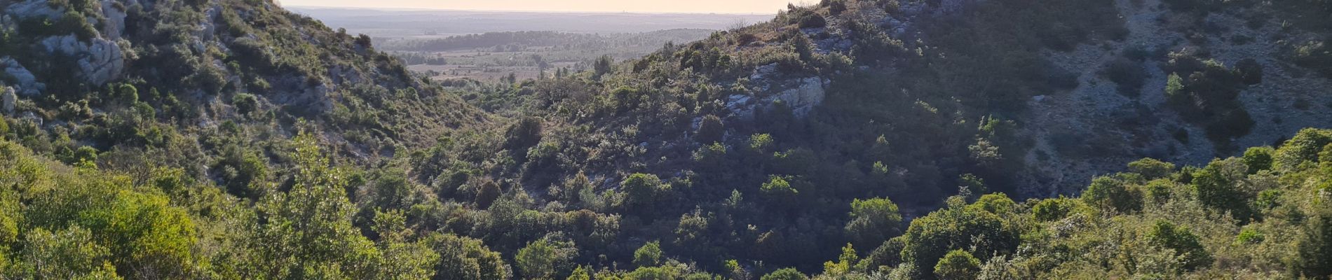 Tocht Stappen Garrigues - garrigues-Bois et grotte de Paris - Photo