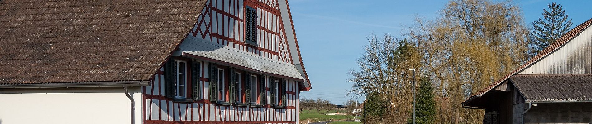 Excursión A pie Weinfelden - Stelzenhof - Ellighausen - Photo