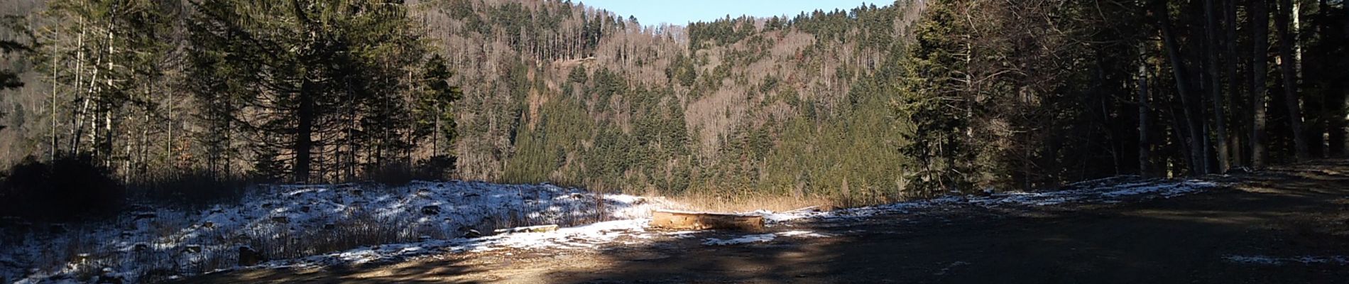 Tocht Stappen Sewen - Sewen chalet du Graber - Photo