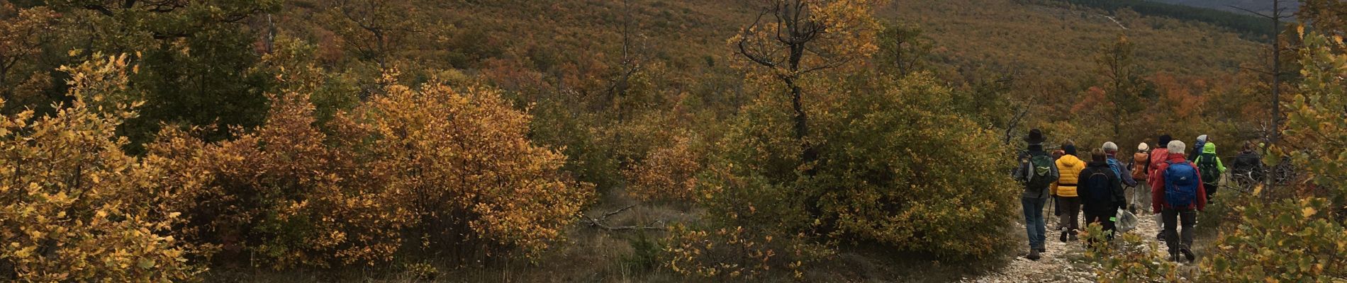 Tour Wandern Cruis - Jas Neuf, Jas pierrefeu et Jas Roche - Photo