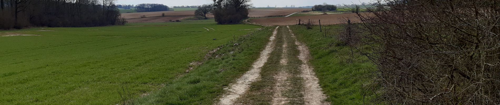 Tocht Stappen Havelange - méan ac - Photo