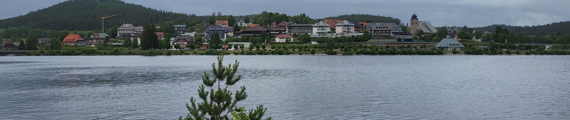 Tour Wandern Schluchsee - Forêt Noire : tour du lac Schluchsee - Photo