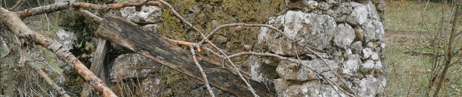 Trail Walking Cuges-les-Pins - Jean de lorette, grotte et mémorial  - Photo