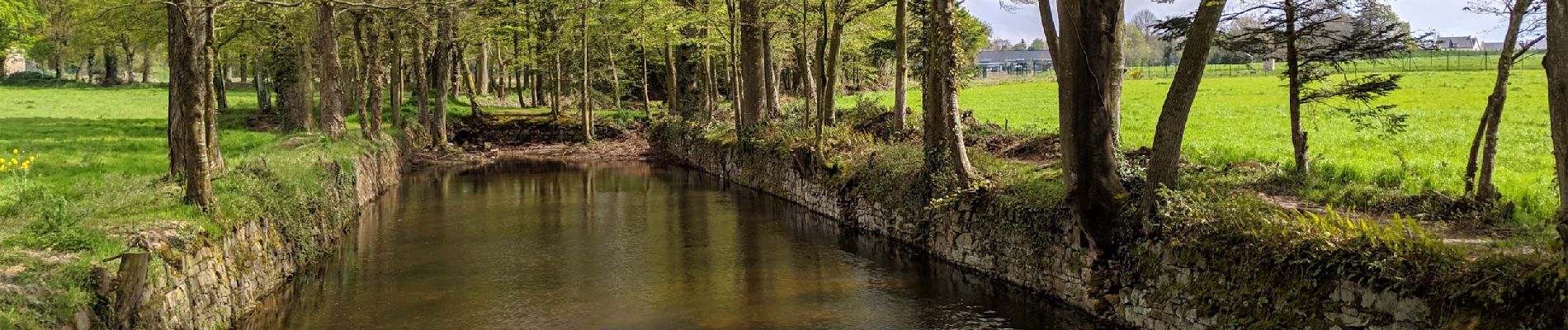 Trail Walking Pabu - Circuit du Trieux - Photo