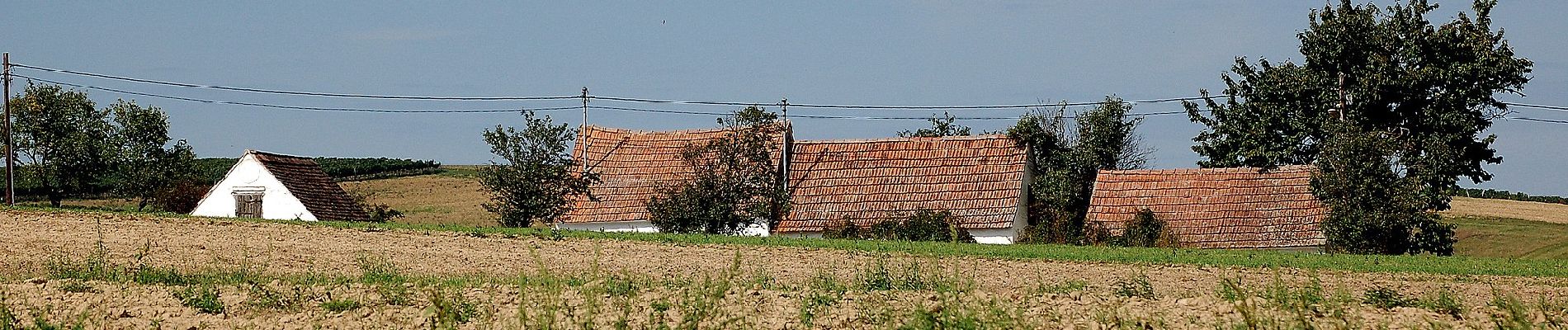 Tocht Te voet Gemeinde Mistelbach - Rundwanderweg Neuberg - Photo