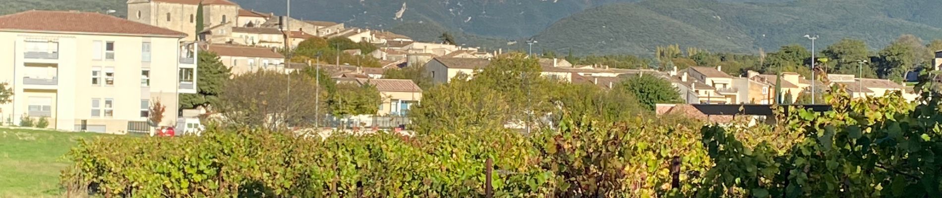 Tocht Stappen Taulignan - Taulignan le chemin de la soie - Photo