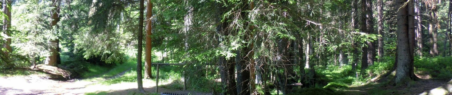 Percorso A piedi Tröstau - Vordorf Rundwanderweg Nr. 3 - Photo