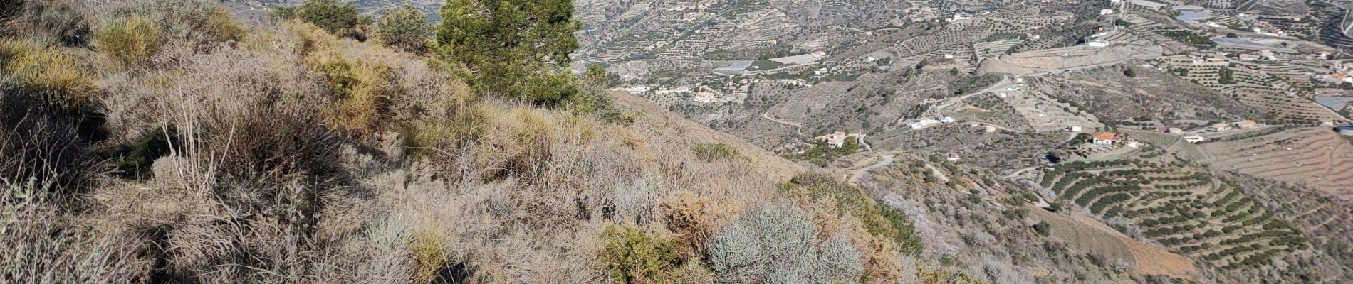 Randonnée Marche Ítrabo - Cerro de Itrabo et del Aquila - Photo