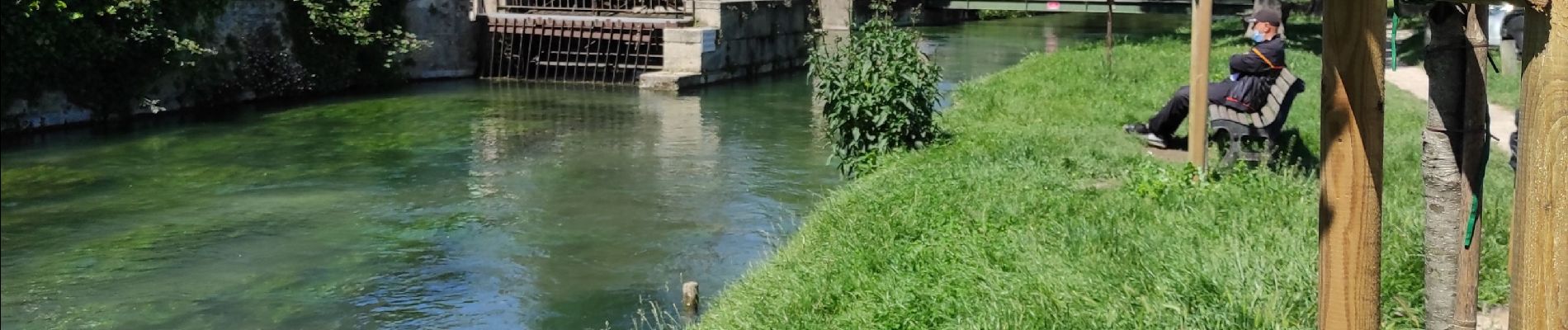 Tocht Stappen L'Isle-sur-la-Sorgue - îles sur la Sorgue - Photo