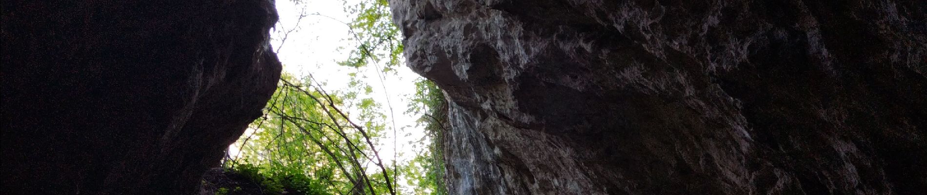 Excursión Senderismo Voreppe - le trou au loup  - Photo