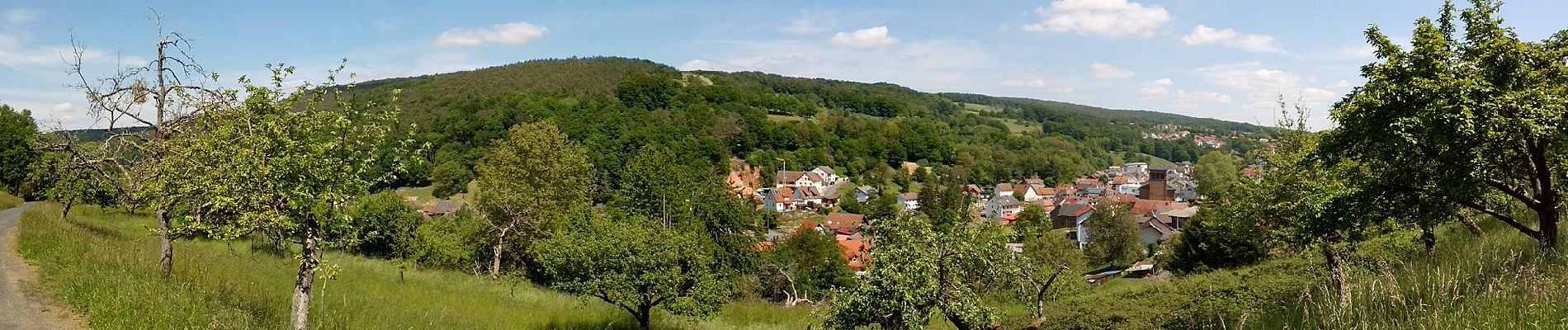 Excursión A pie Leidersbach - Panorama Besinnungsweg - Photo