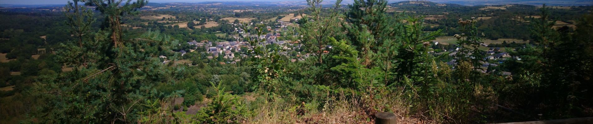 Trail Walking Volvic - La grande Hêtraie et le Puy de Paugnat.  - Photo