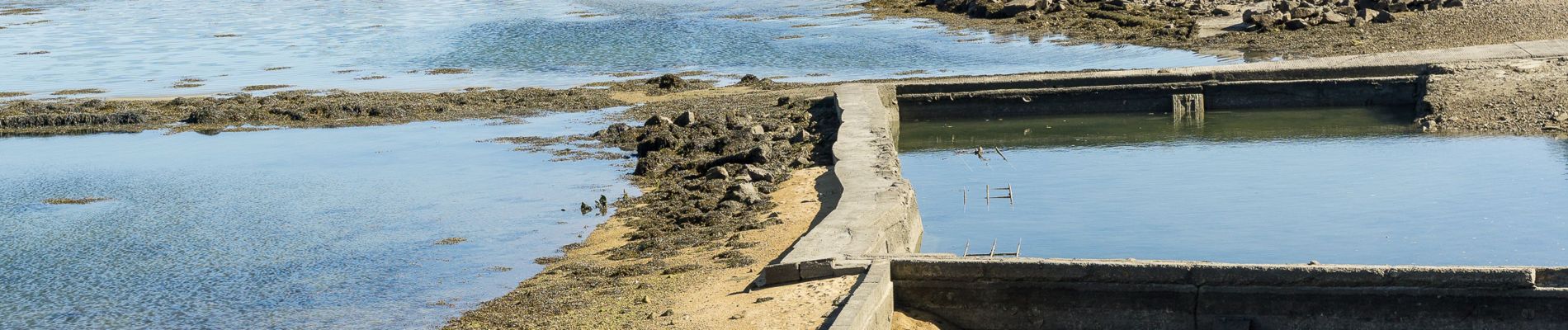 Excursión Senderismo Larmor-Baden - De la plage du Berchis au village de Mériadec en aller-retour - Photo